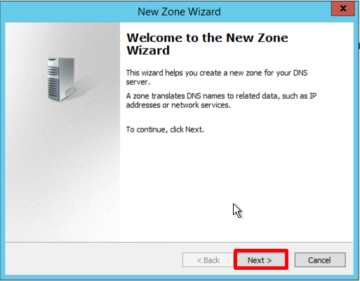 Screenshot 14: welcome screen of the DNS Manager Wizard