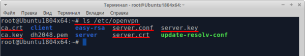 Screenshot 10: Configuring OpenVPN on Ubuntu - server setup