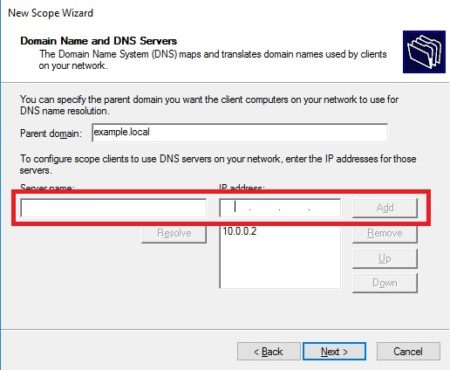 Enter the domain name and DNS server