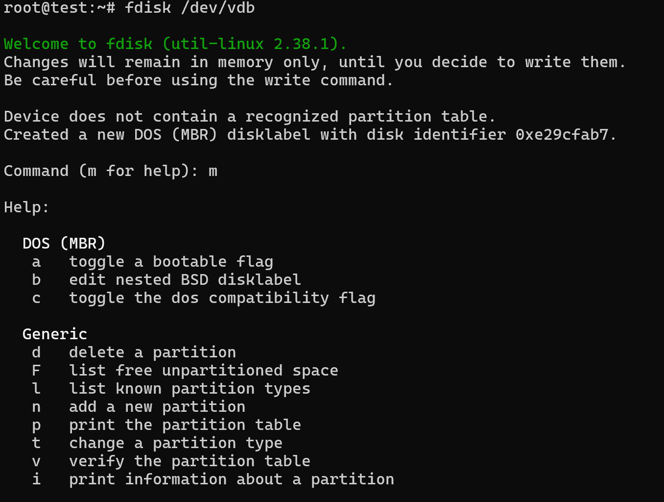 Disk partitioning