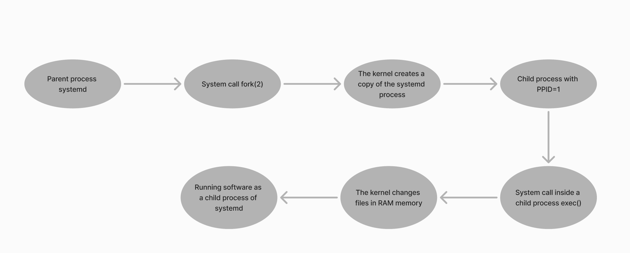 Schema birth of process