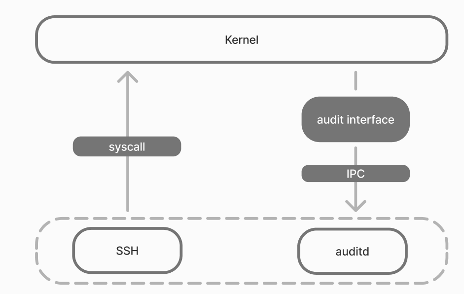 Schema