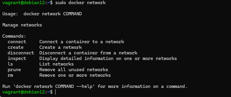 Docker info