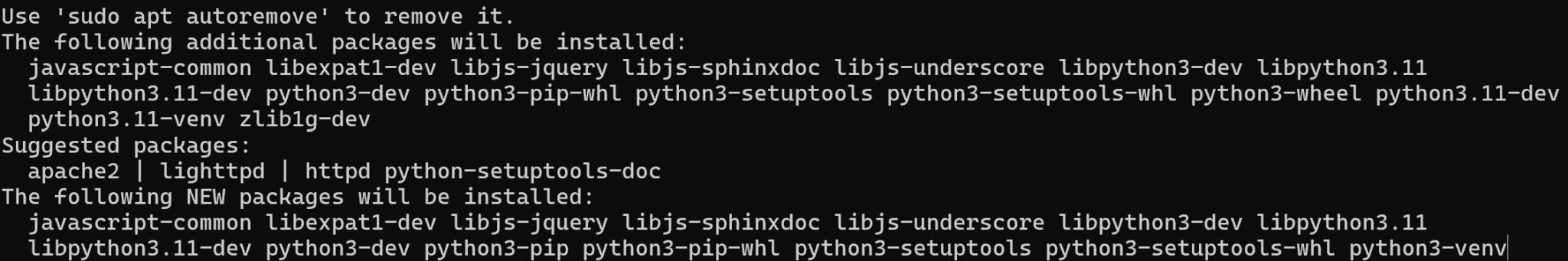 How to create and use venv via Python? ~ Serverspace.us